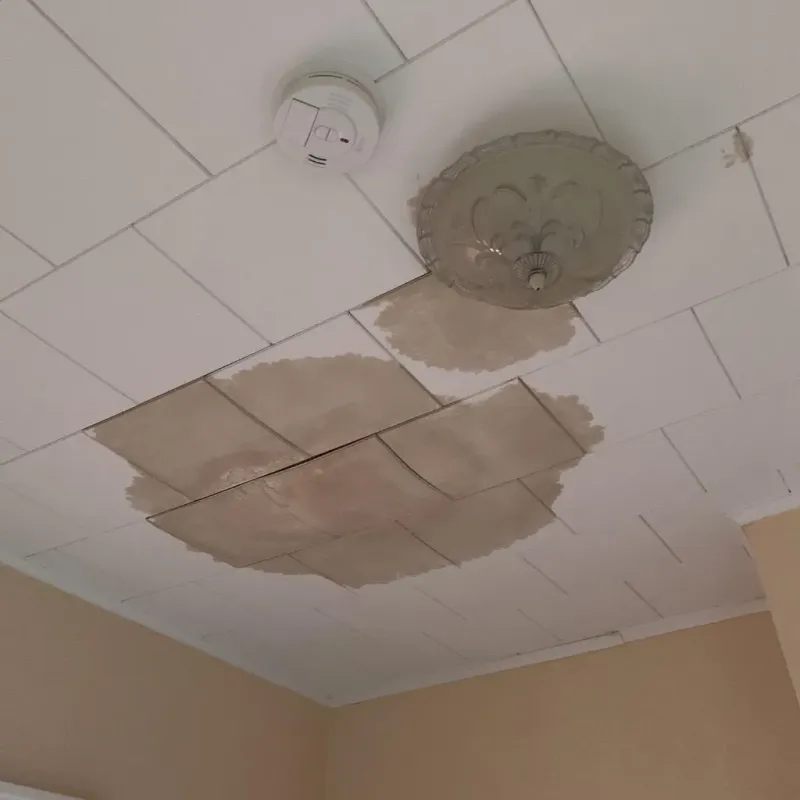 Ceiling Water Damage Repair in Point of Rocks, MD